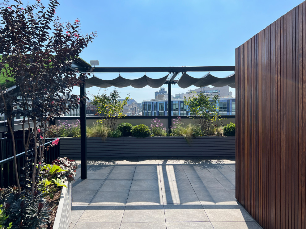 Großer Moderner Dachgarten mit Kübelpflanzen, direkter Sonneneinstrahlung und Holzzaun in New York