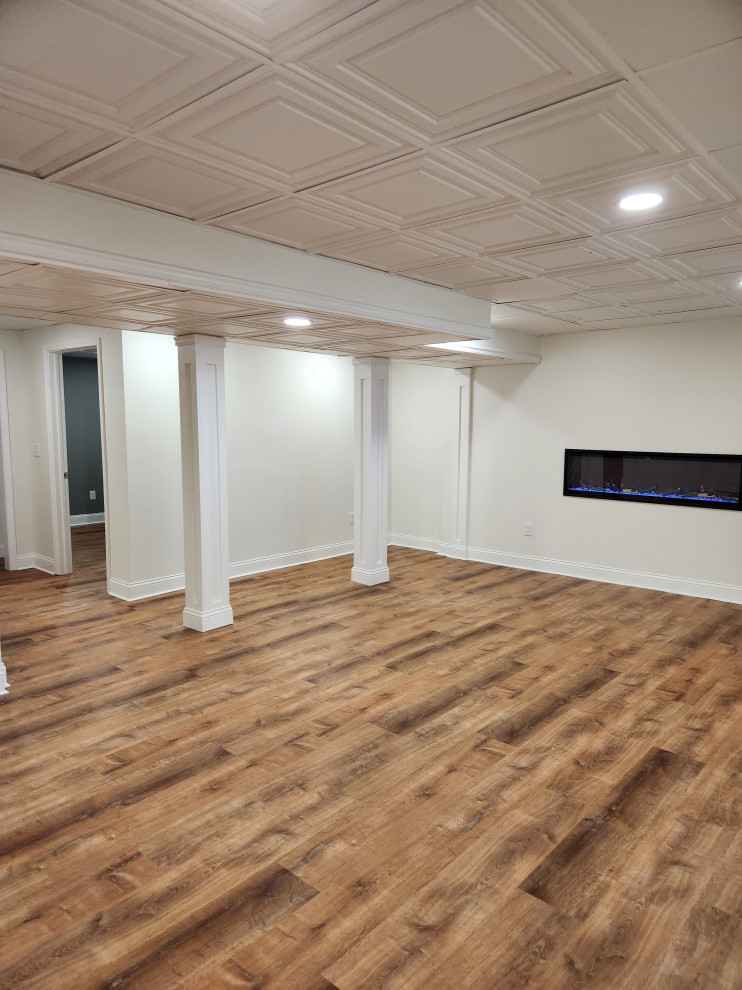 Basement Remodel