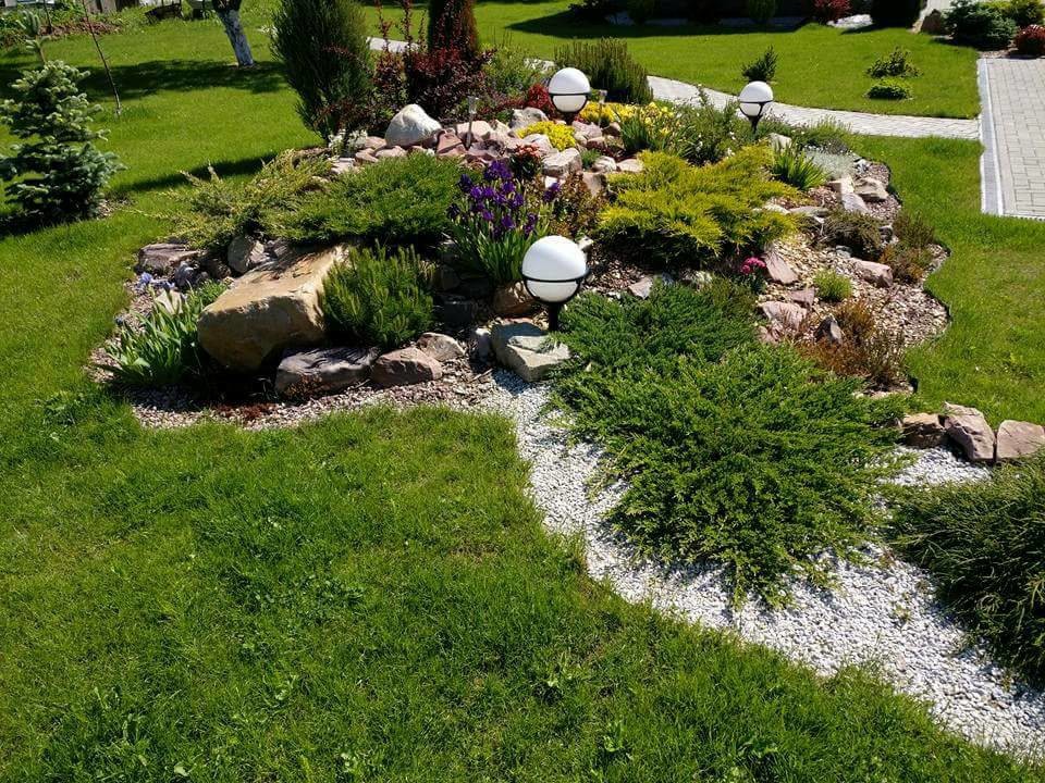 сад, который рисовая я