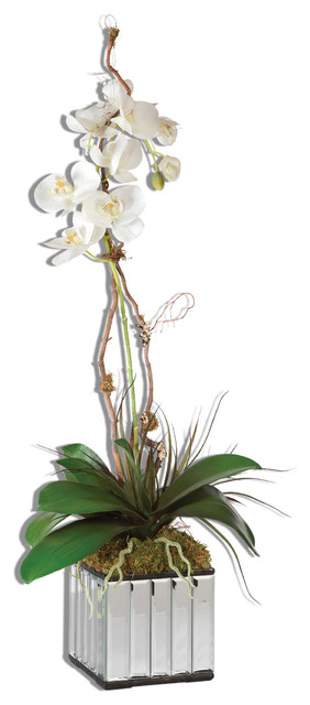 Uttermost White Kaleama Orchids