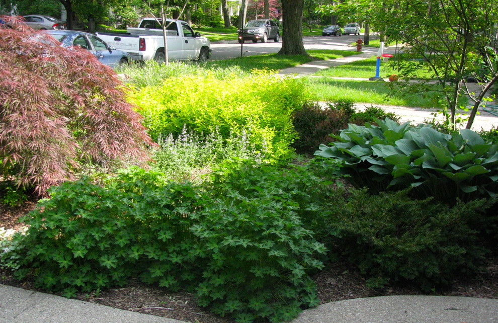 Photo of a small traditional front yard partial sun xeriscape for summer in Detroit with a garden path.