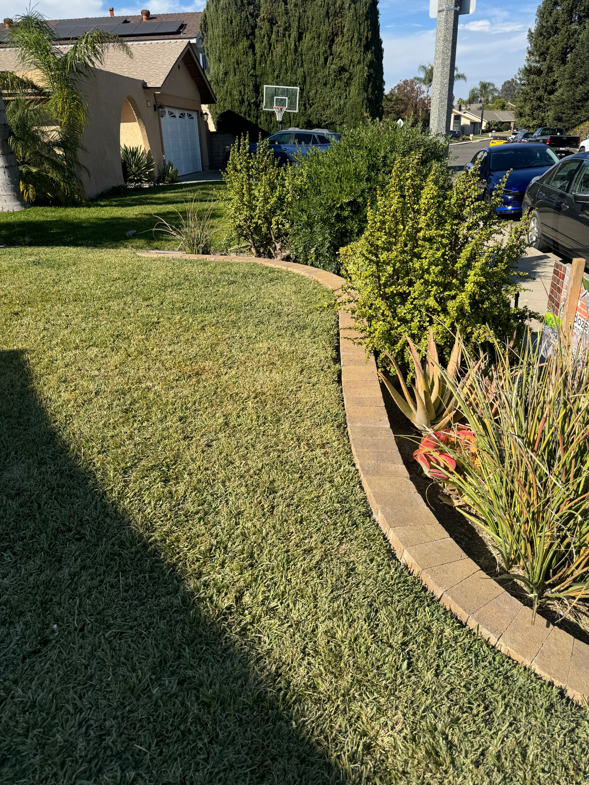 MV Paver Driveway