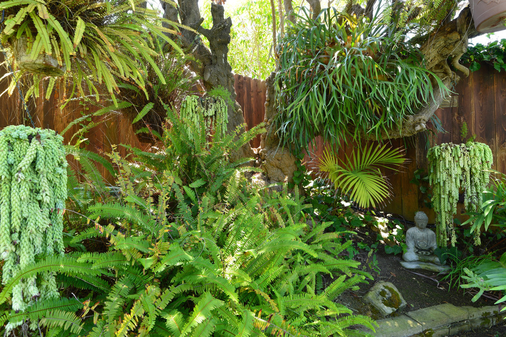 Photo of a tropical backyard shaded garden in San Diego.
