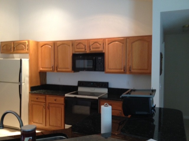 Scott's Kitchen Recolor Dove White Contemporary