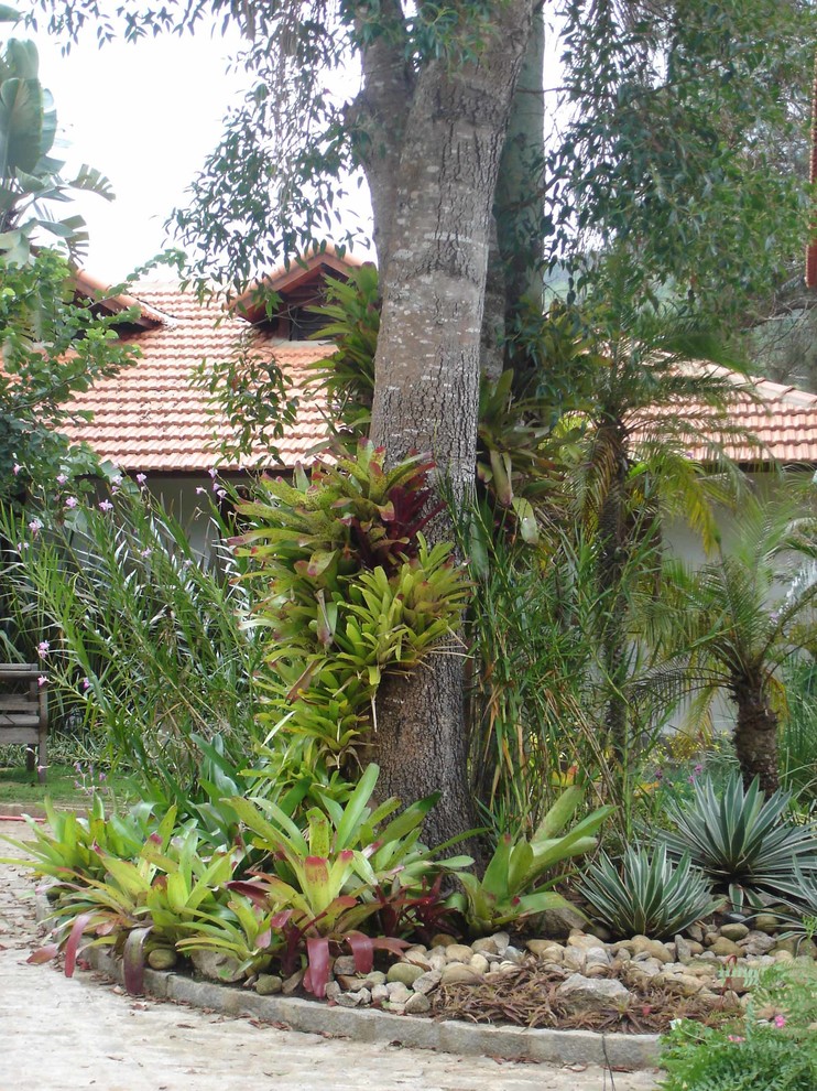This is an example of a tropical garden in Orlando.