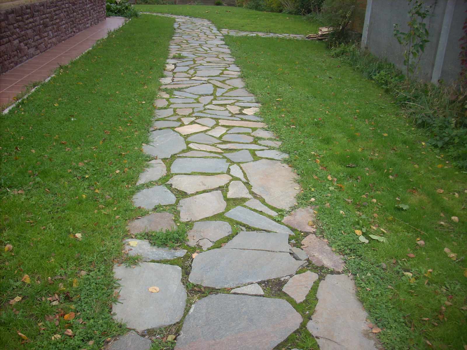 Правдино Ландшафт