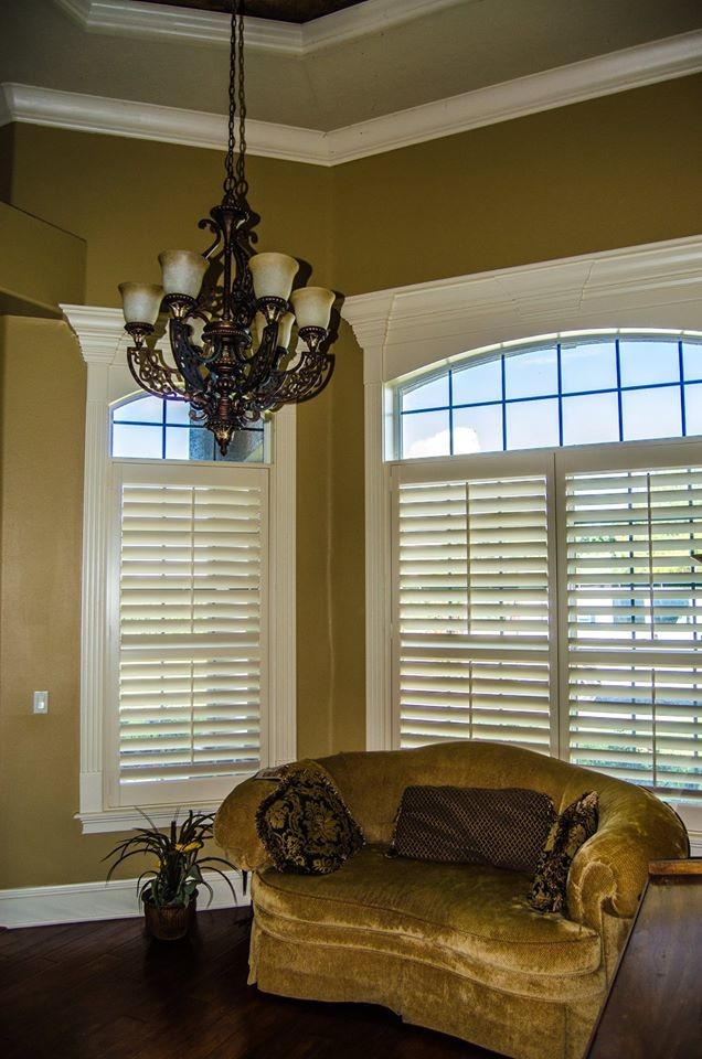 Living room - transitional living room idea in Tampa