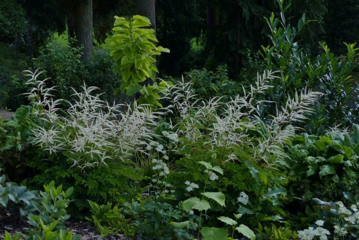 Klassischer Garten im Frühling in Nürnberg