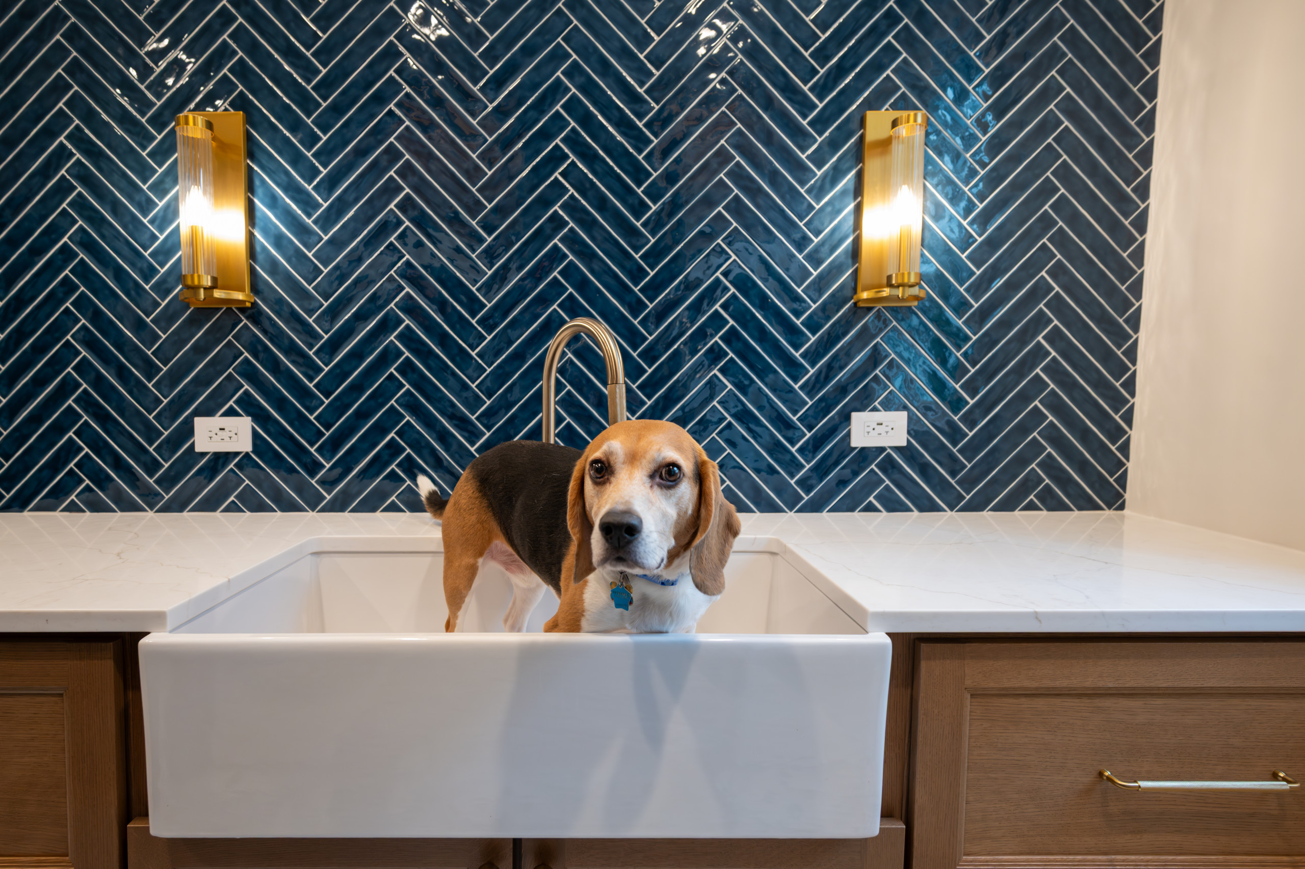 Reimagined Northbrook First Floor