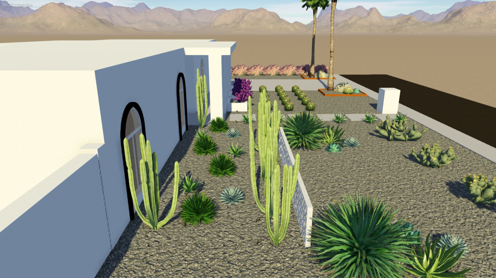 Mittelgroßer Mid-Century Vorgarten im Frühling mit Wüstengarten und direkter Sonneneinstrahlung in Phoenix