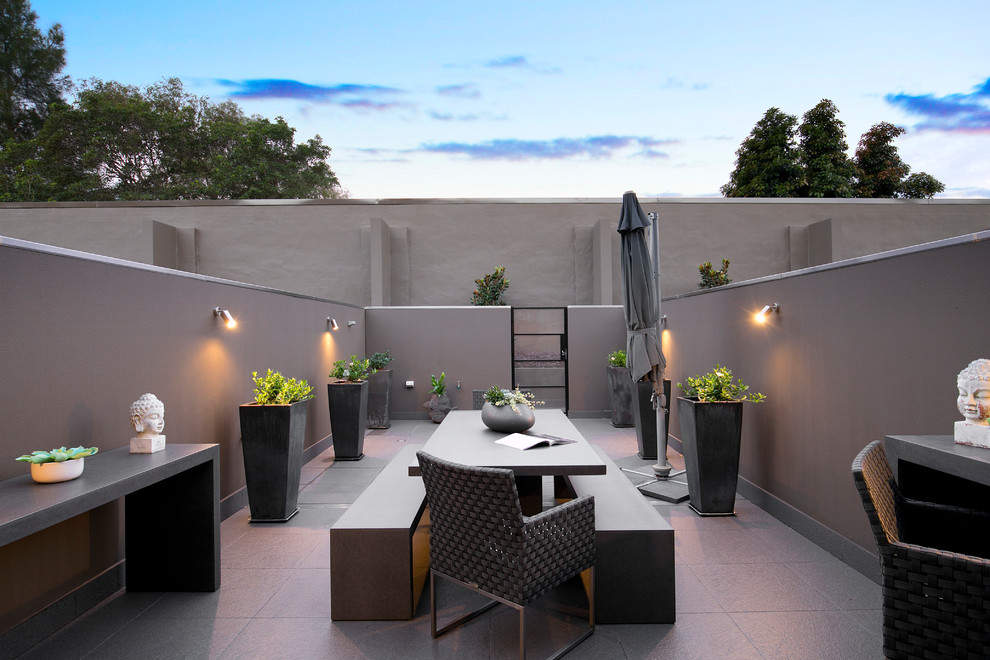 Photo of a contemporary backyard patio in Sydney with a container garden, concrete pavers and no cover.