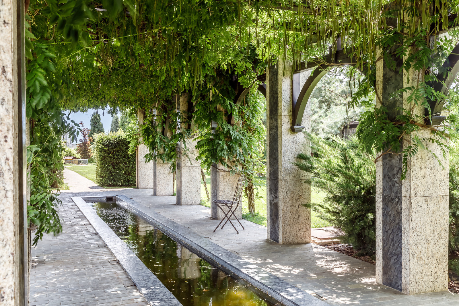 Камень и дерево