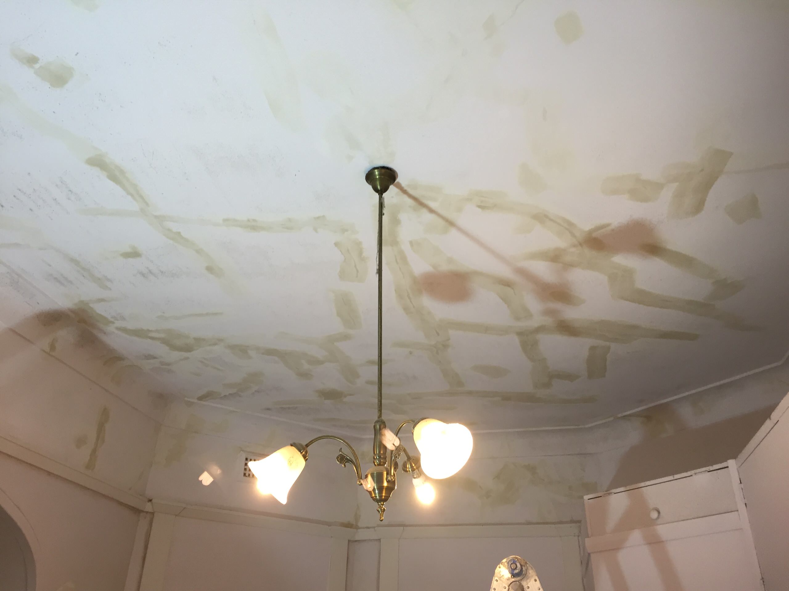CEILING RESTORATION AND TIMBER IN ENAMEL