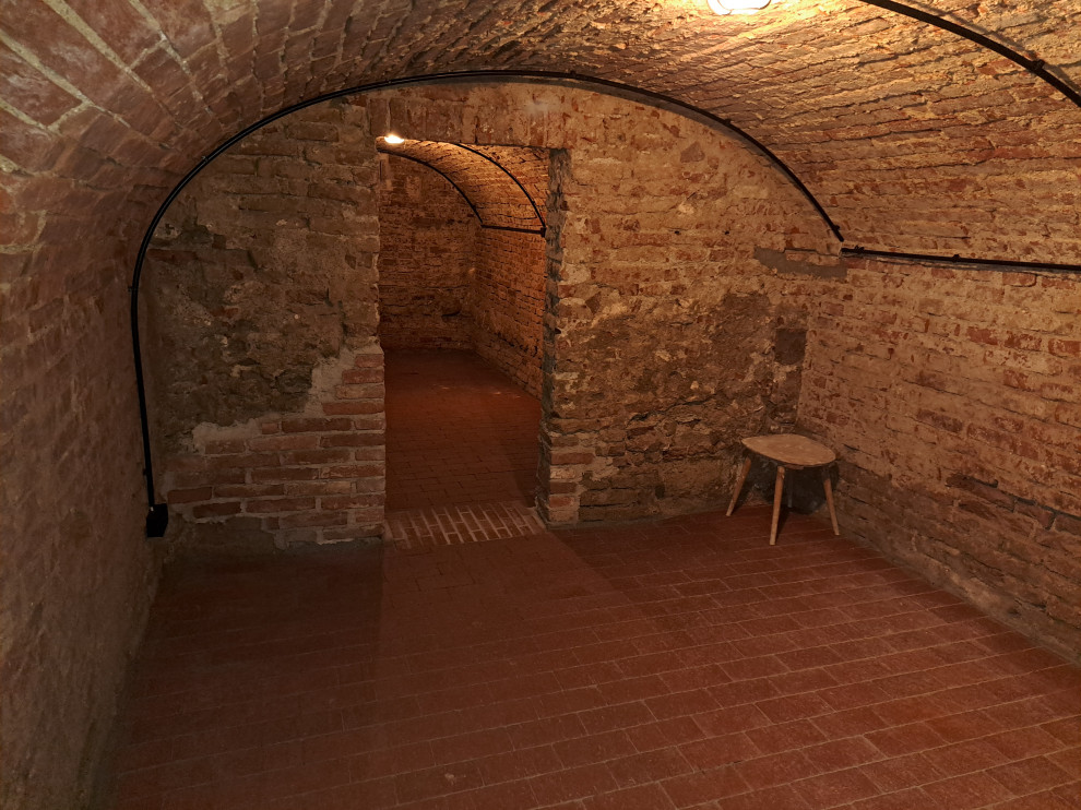 Photo of a mid-sized country wine cellar in Munich with terra-cotta floors and red floor.