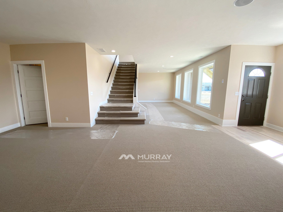 Basement - transitional basement idea