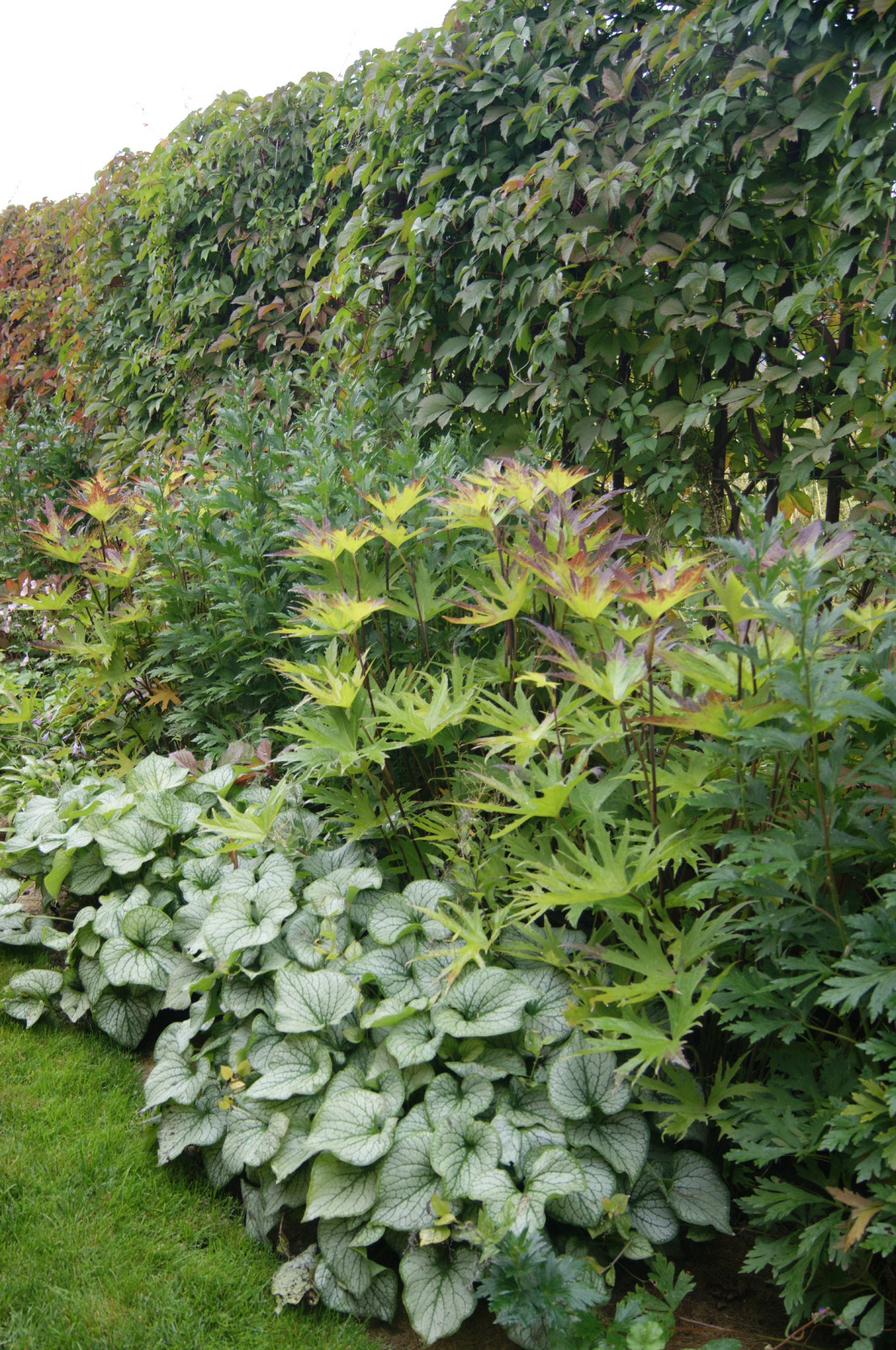 Скандинавские мотивы