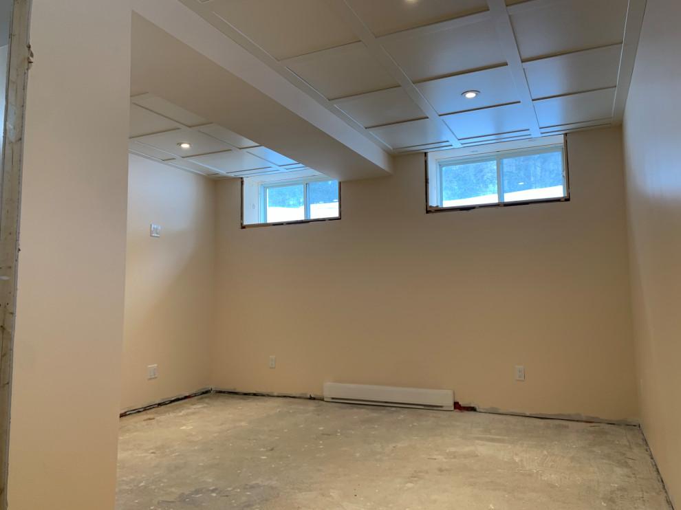 Basement Renovation