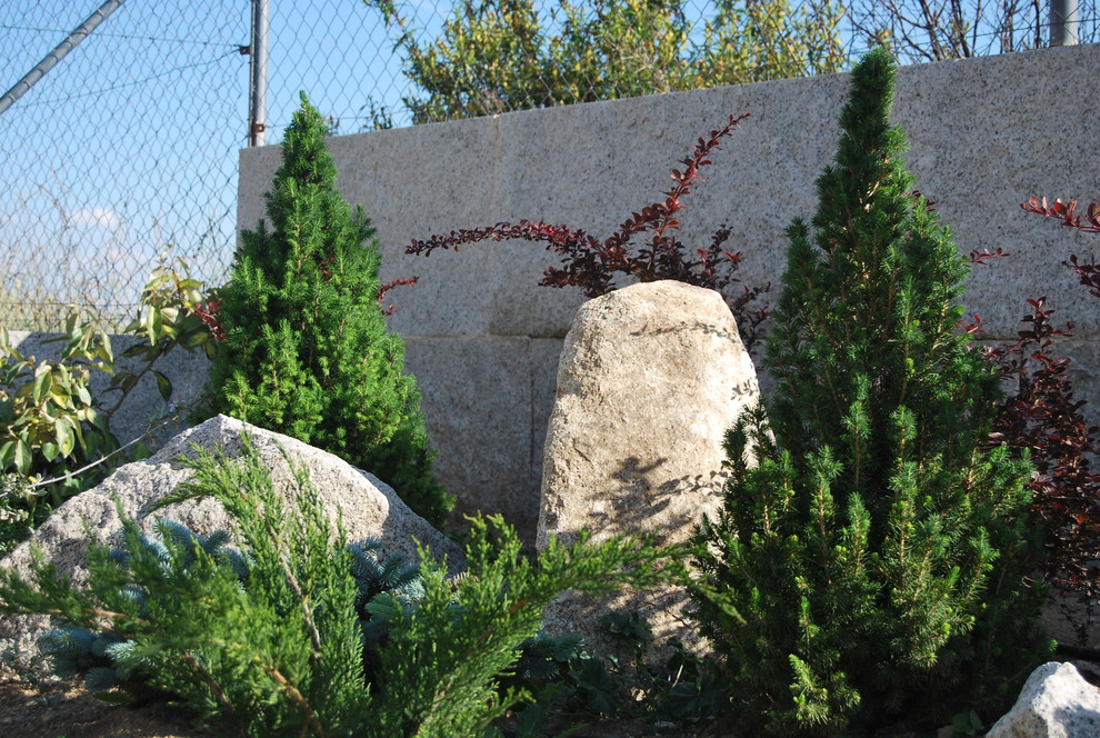 Jardines con mascotas