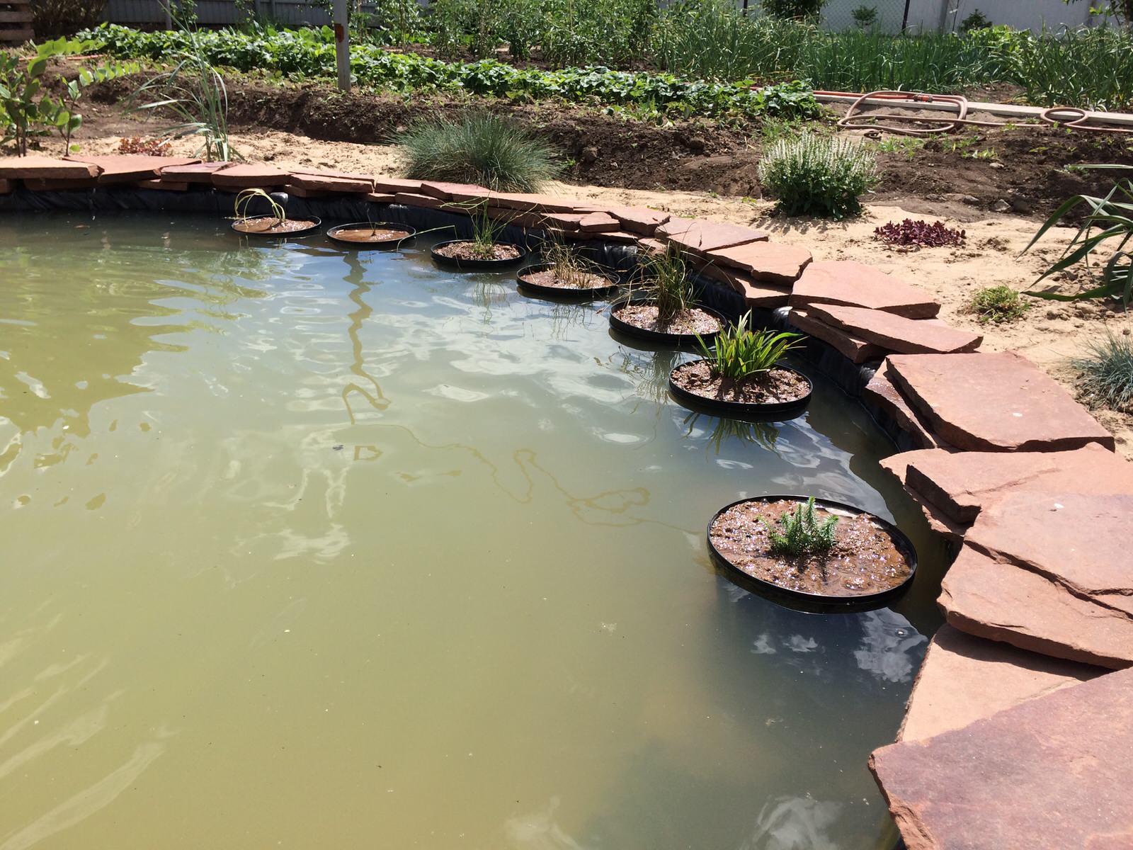 Садовый пруд с мостиком