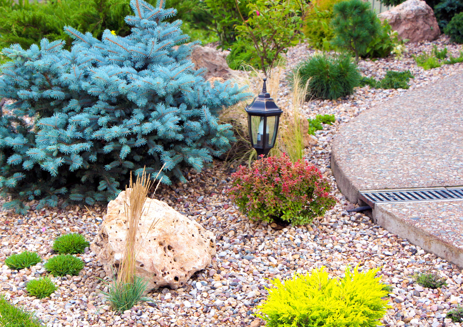 Новые Вешки, 2016