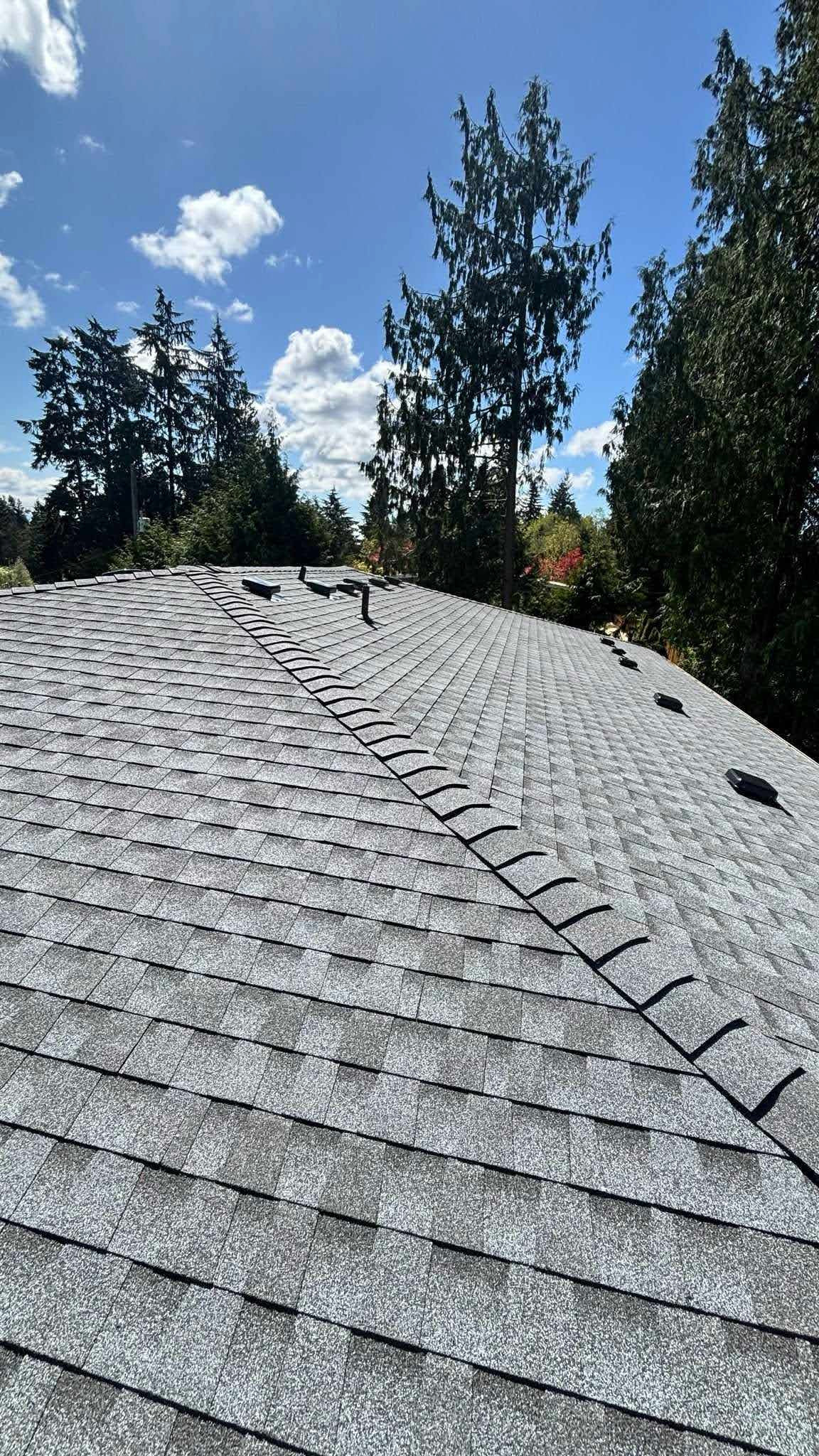 Roof Replacement