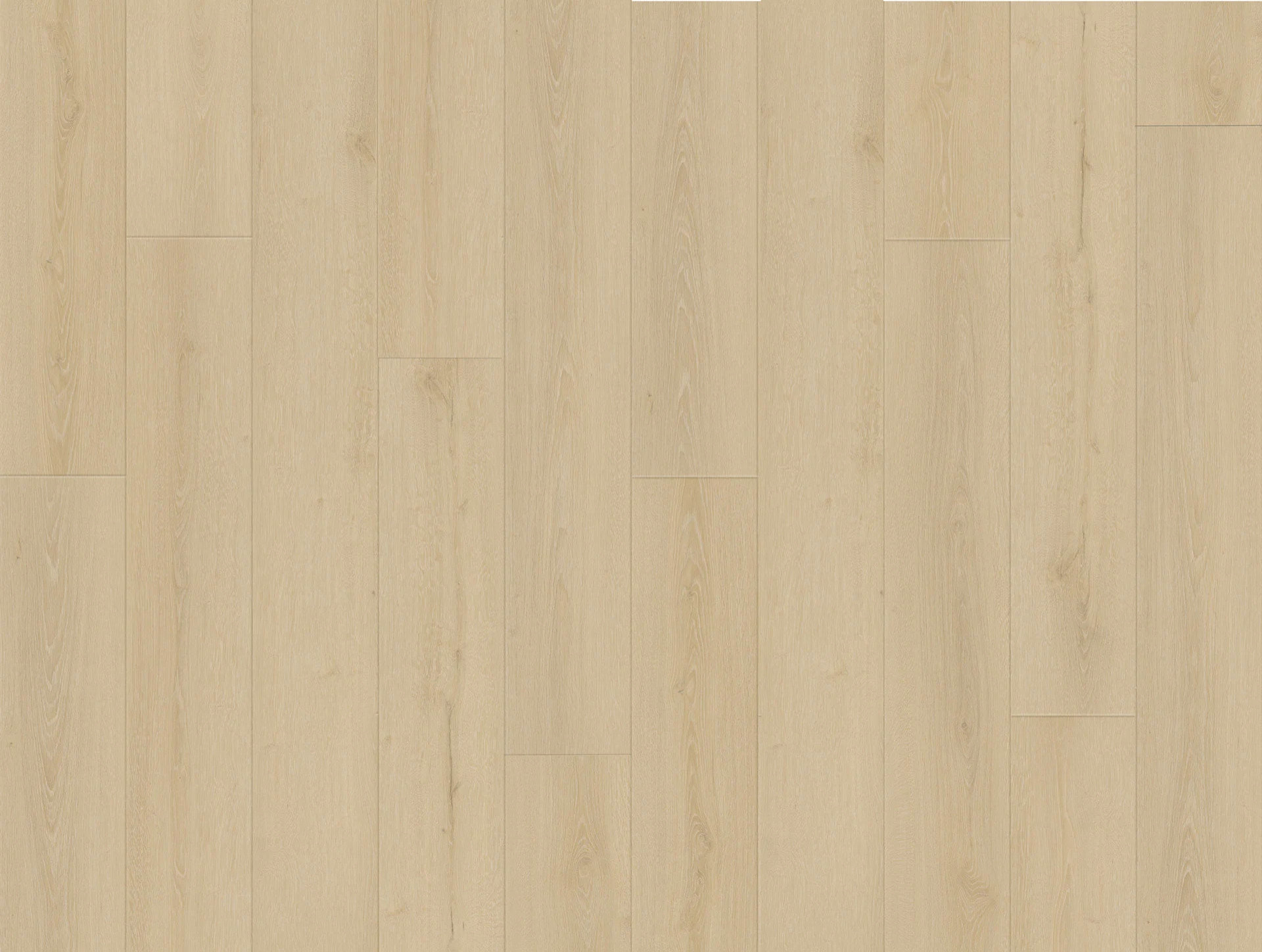Cool Beige