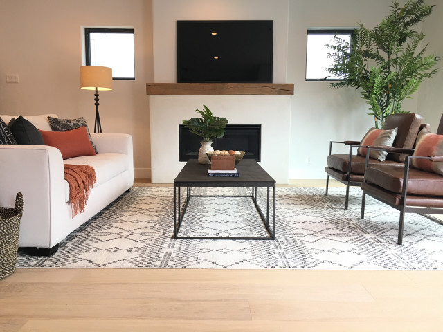 Naples Stunner modern-living-room