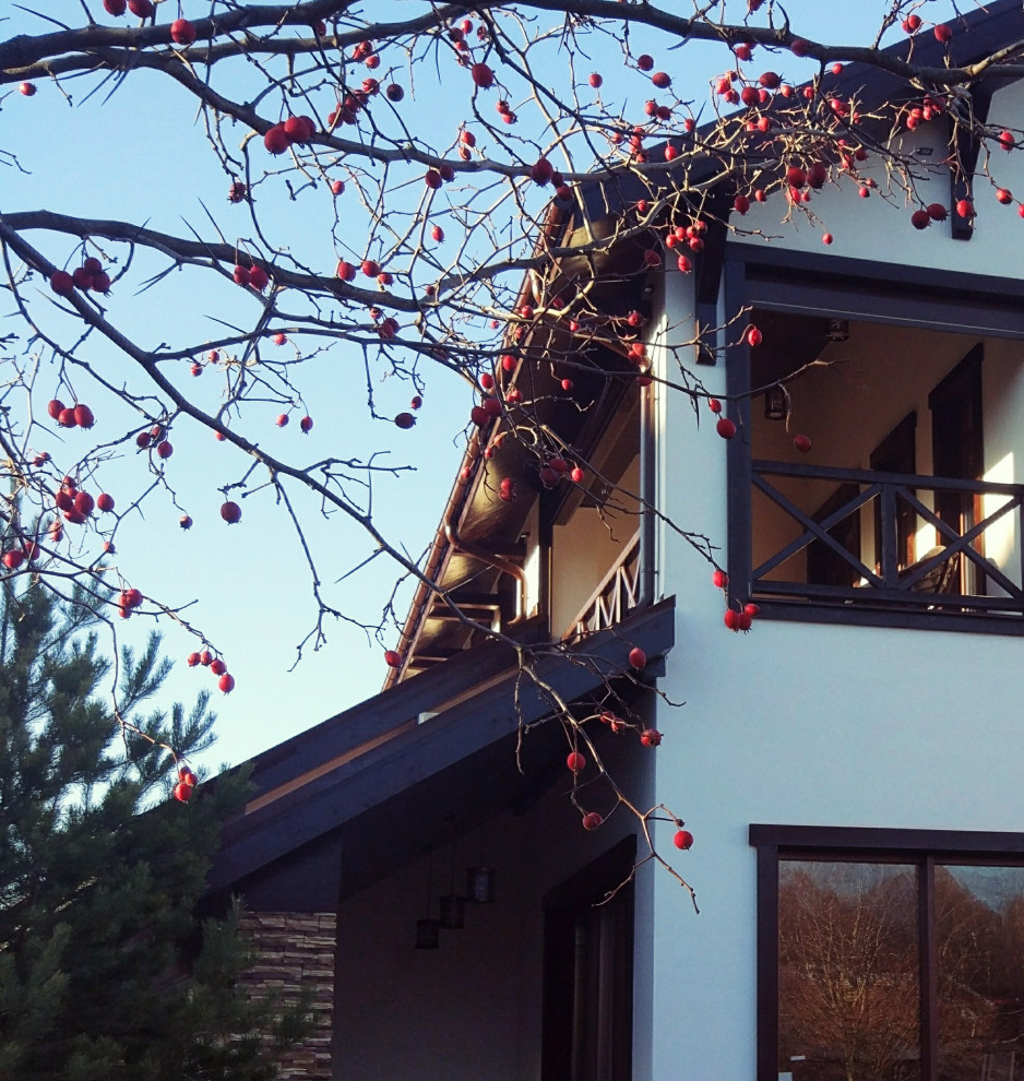 Реконструкция загородного дома в поселке "Новые Вешки"