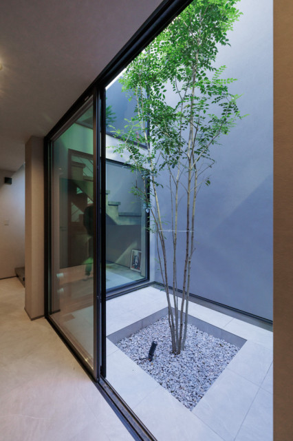 シマトネリコを植えた中庭 moderno-patio