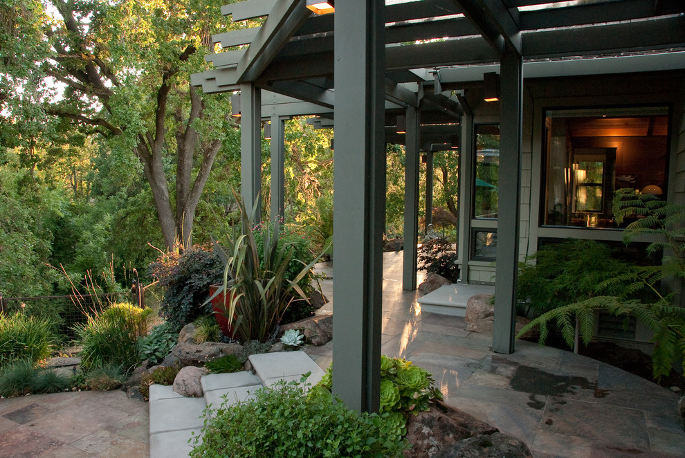 Photo of a mid-sized transitional backyard patio in San Francisco with a water feature, concrete pavers and no cover.