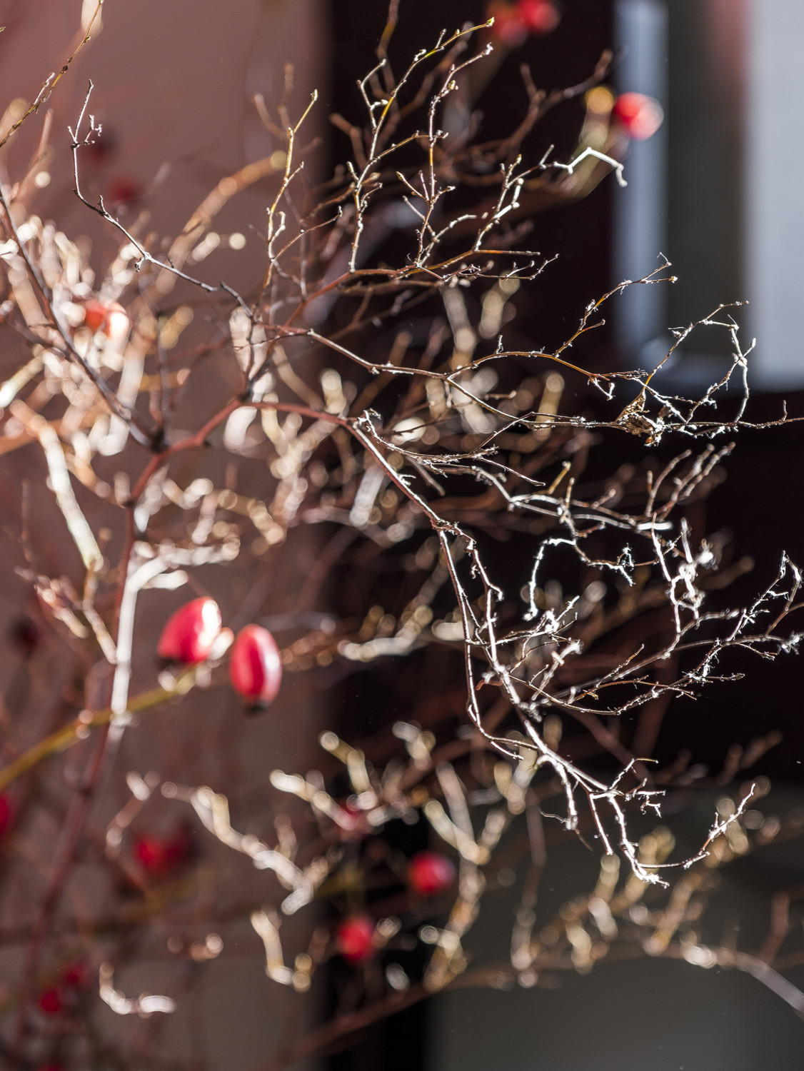 Комната-кабинет интерьерного фотографа Дины Александровой