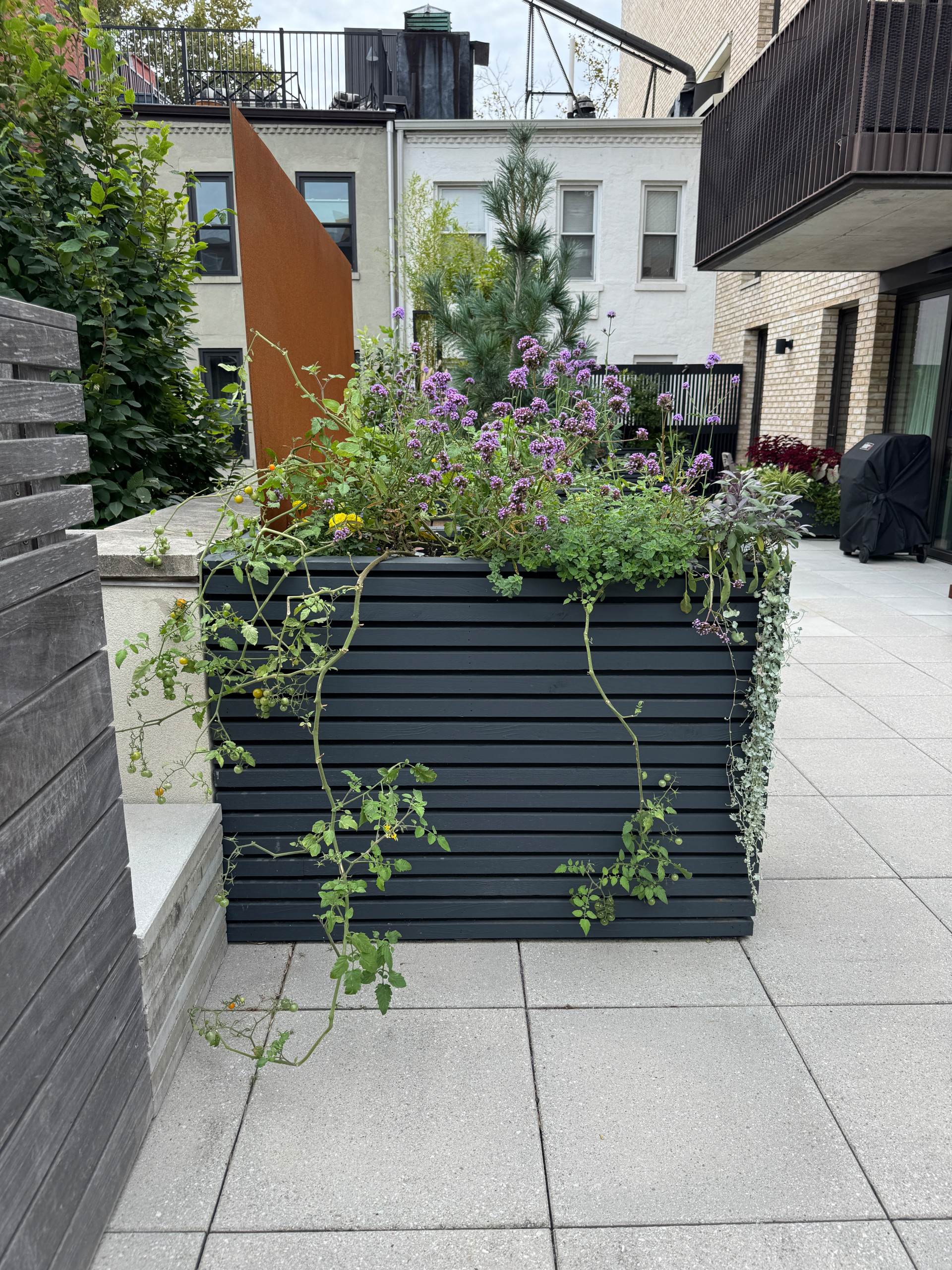Carroll Gardens Rooftop Terrace