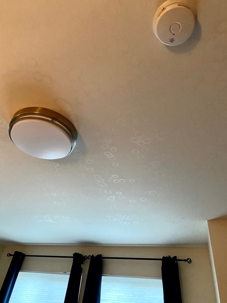 Does anyone know what these white circles on the ceiling may be?