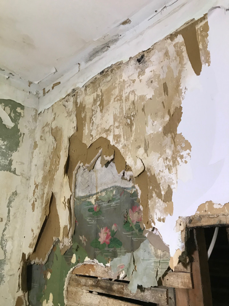 water Mitigation Cambridge