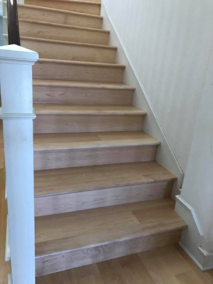 Photo of a large contemporary wood curved staircase in San Diego with wood risers and wood railing.