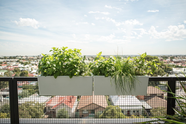 Glowpear Mini balcony