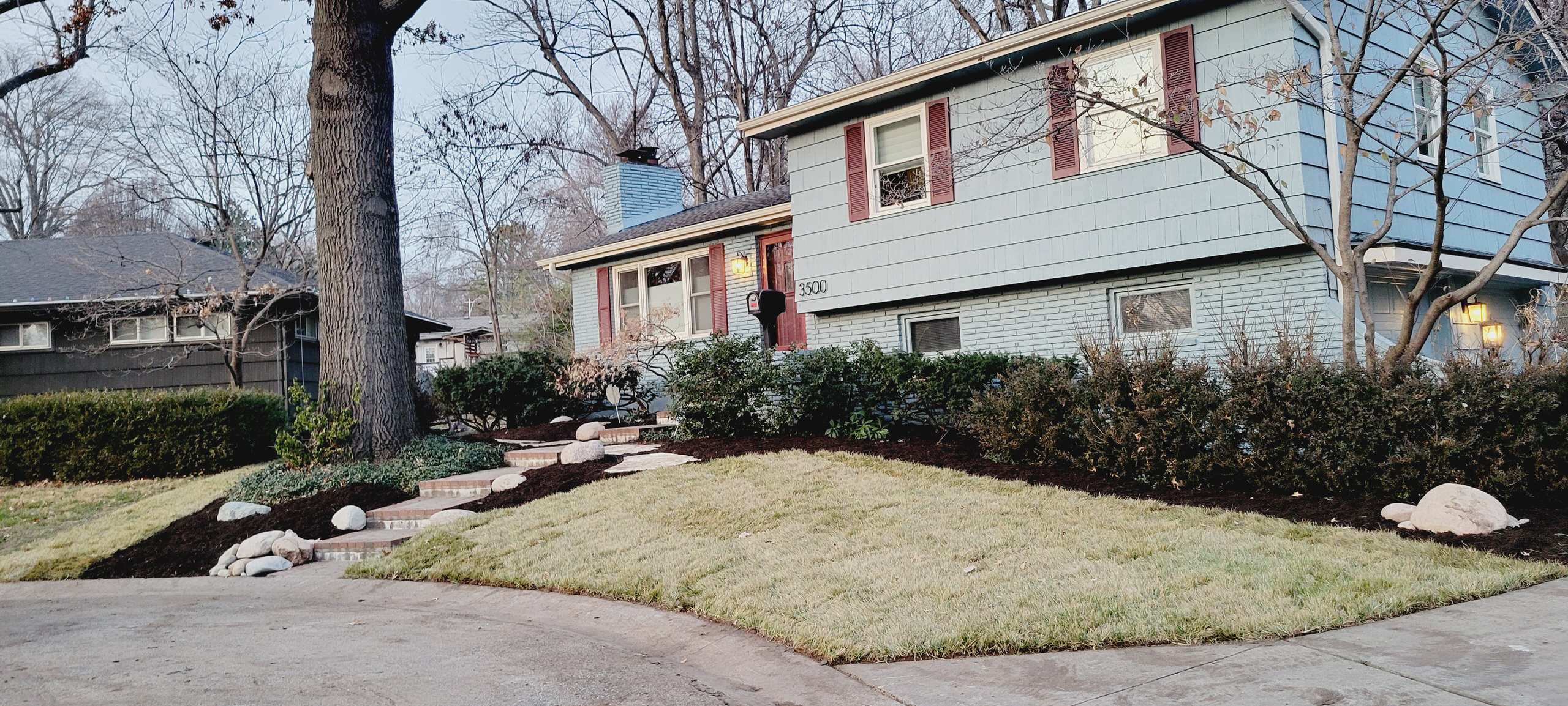 Bamboo Be Gone