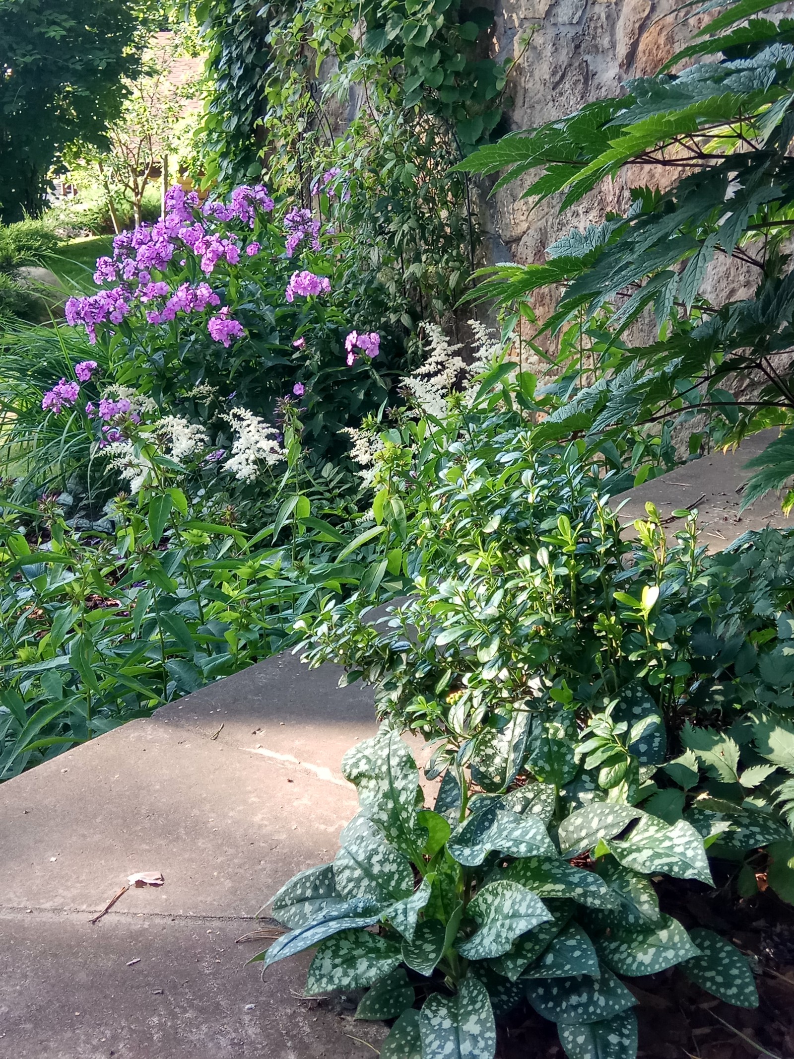 Озеленение рельефного участка в Токсово