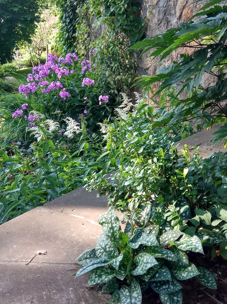 Озеленение рельефного участка в Токсово