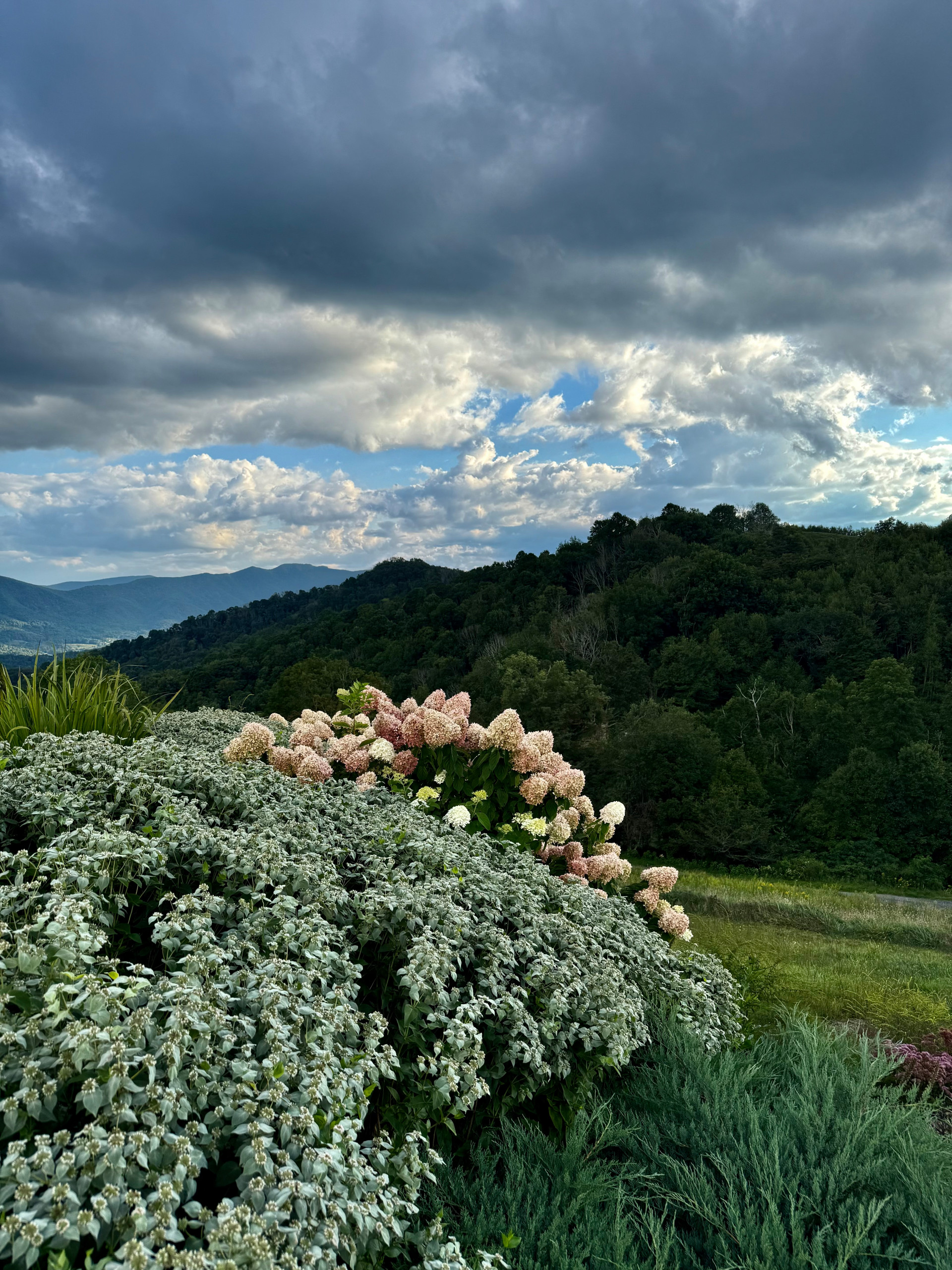 Mountain Top Magic