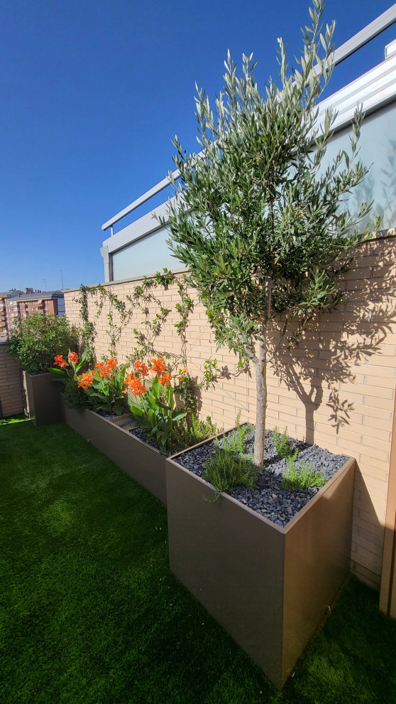 Imagen de terraza contemporánea de tamaño medio