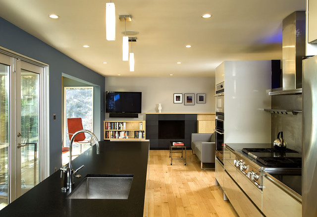 Arlington Residence contemporary-kitchen
