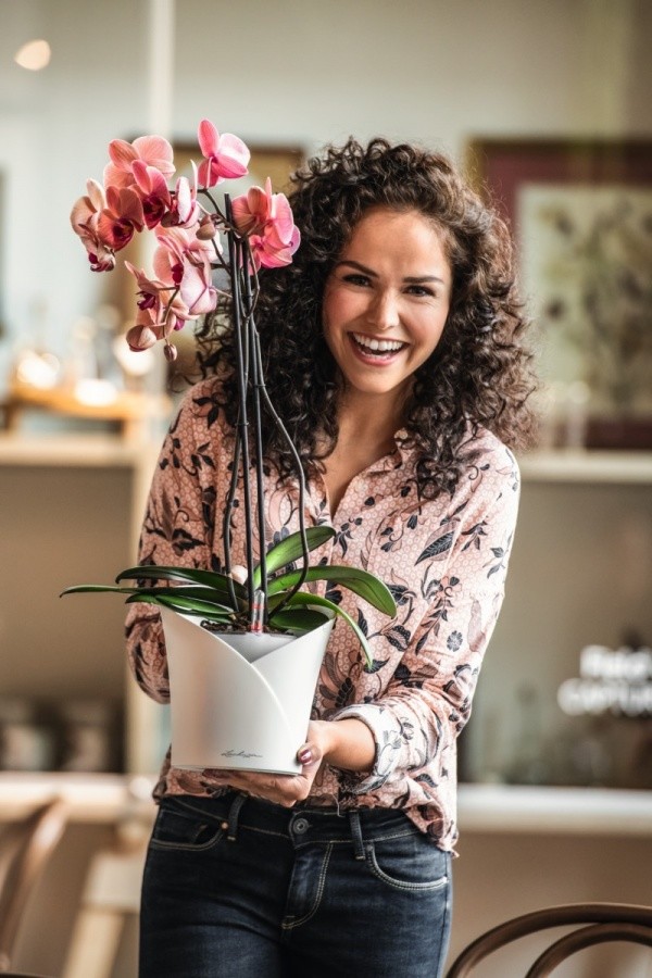 Вашим орхидеям это понравится