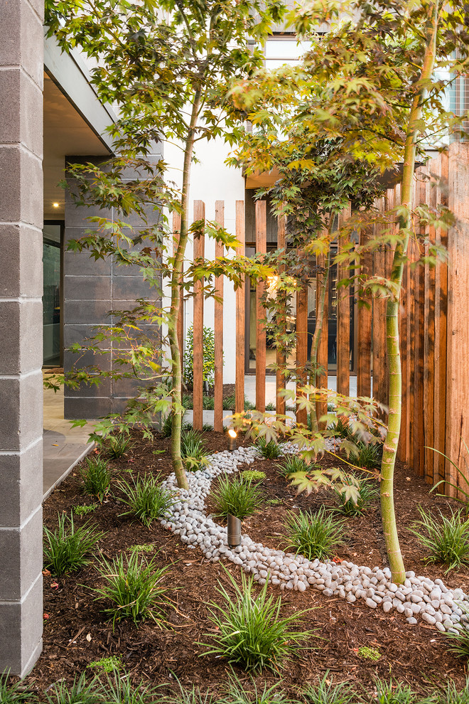 Photo of a mid-sized contemporary side yard garden in Melbourne with mulch.