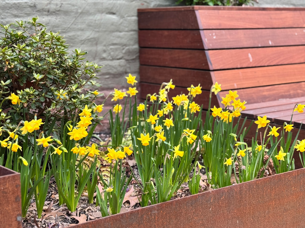 Brooklyn Heights Shady Garden