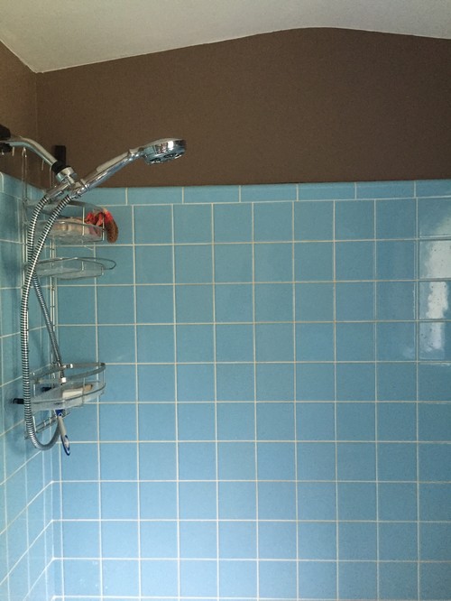 Vintage blue tile in bathroom...what color to paint walls?!
