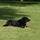 jessica_weiss9309035