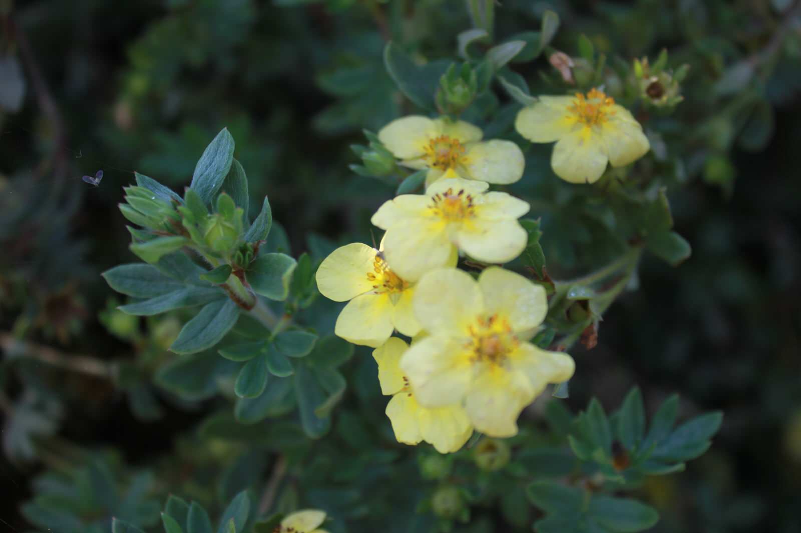 В гостях у Сказки