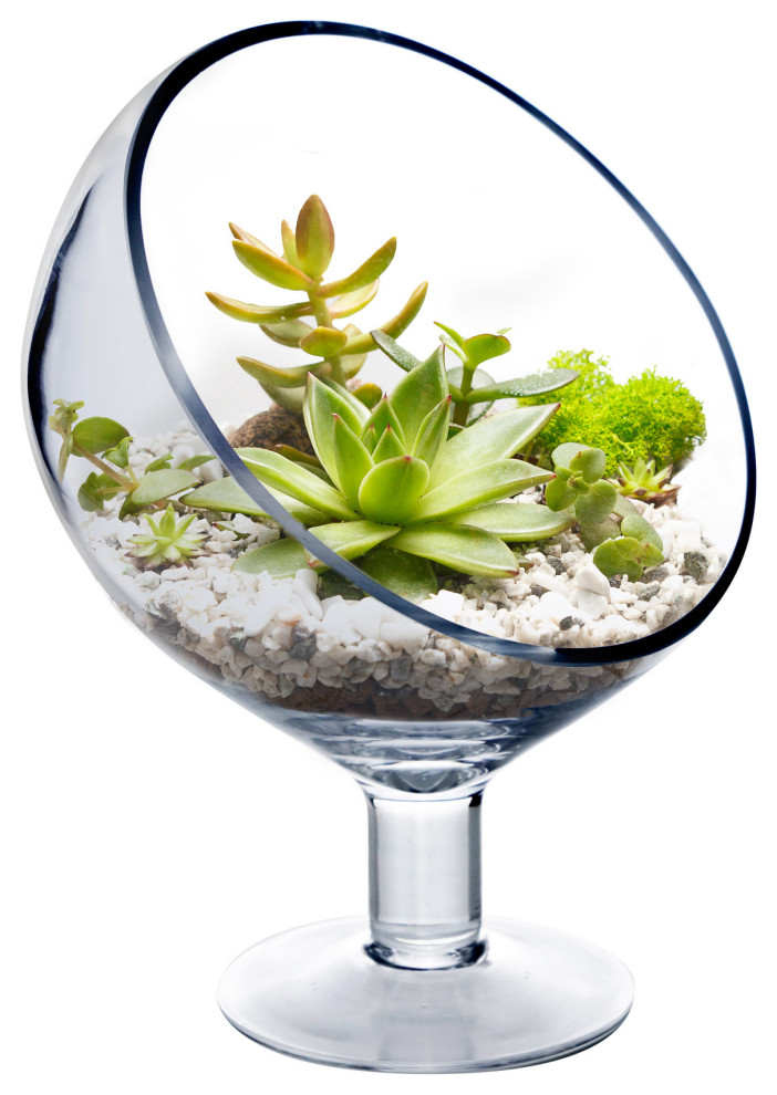 Slant Cut Glass Terrarium Bowl (H9" W7") Stem Candy Buffet Dish