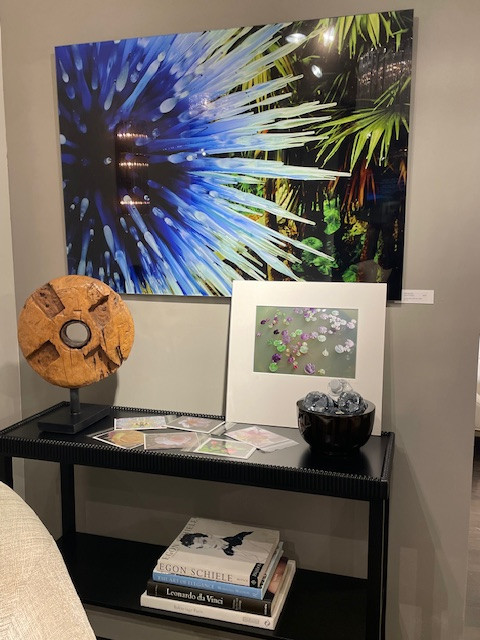 Laurel Feldman Photography